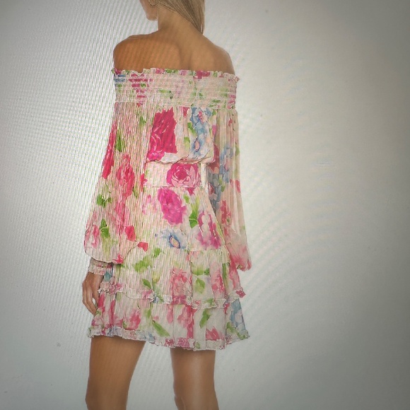 NWOT Rococo Sand Flora Mini Dress - Picture 3 of 12